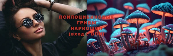 ГАЛЛЮЦИНОГЕННЫЕ ГРИБЫ Абинск