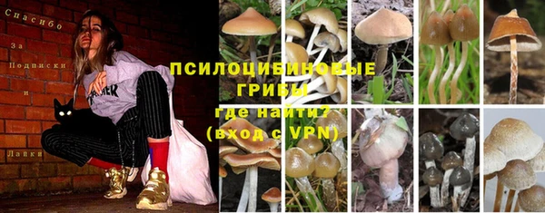 ГАЛЛЮЦИНОГЕННЫЕ ГРИБЫ Абинск