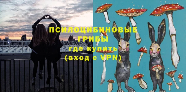 ГАЛЛЮЦИНОГЕННЫЕ ГРИБЫ Абинск