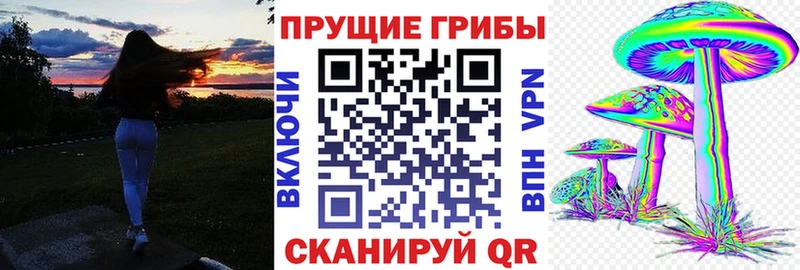 Псилоцибиновые грибы Psilocybine cubensis  Краснодар 